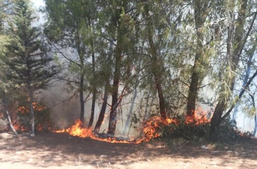 Türkiyədə yanğınlar səbəbindən 4 əyalətdən 4 minə yaxın sakin təxliyə edilib