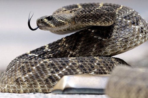 İlanı paltaryuyanda belə yudular - VİDEO