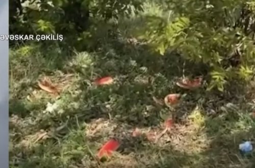 Azad edilmiş əraziləri çirkləndirənlərə çağırış - Video