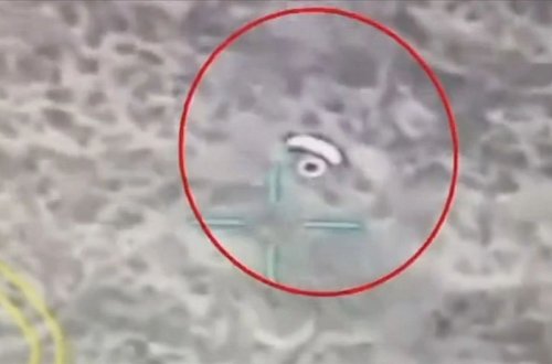 Türkiyədə müxtəlif şəxslərə sui-qəsd hazırlayan qruplaşma məhv edilib