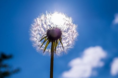 Sabah 36 dərəcə isti olacaq