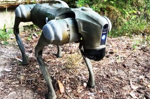 Böyük Britaniyada Ukrayna ordusunu robot itlər ilə təmin edib