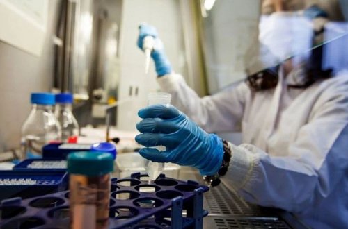 ÜST meymunçiçəyi xəstəliyi ilə bağlı insanları vaksinasiyaya çağırıb