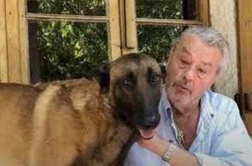 Qohumları Alen Delonun vəsiyyətini yerinə yetirməkdən imtina ediblər