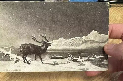 1903-cü ildə Uelsdə göndərilən 