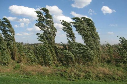 Küləklə bağlı sarı xəbərdarlıq