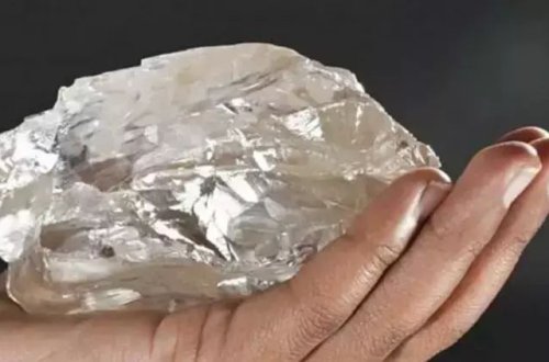 Dünyanın ikinci ən böyük alması tapıldı