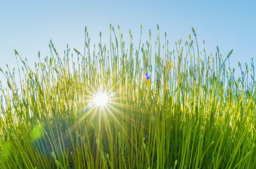Sabah Bakıda 33°, bölgələrdə 38° isti olacaq - PROQNOZ