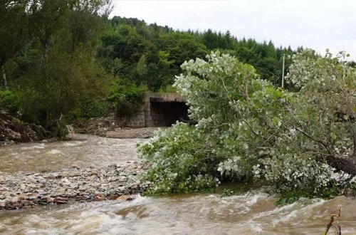 Sudanda daşqın baş verib: 132 ÖLÜ