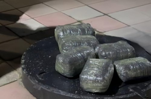 Polis əməkdaşları bir gündə 66,4 kiloqramdan çox narkotik vasitə aşkarlayıb