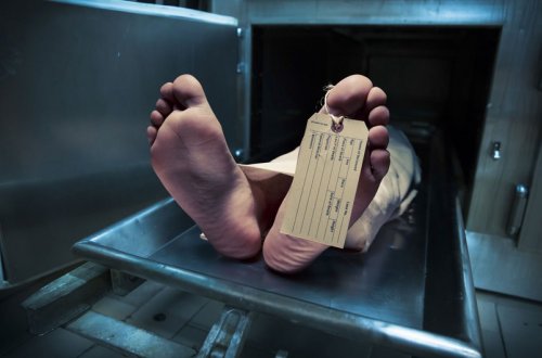 Şəkidə 67 yaşlı kişi tövlənin çardağından yıxılaraq ölüb