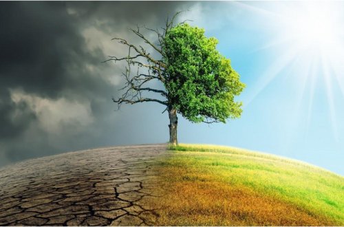 20-ci əsrdə quraqlıq 10 milyondan çox insanın ölümünə səbəb olub