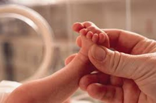 Ana bətnindəki uşağı autizmdən qoruyan məhsul