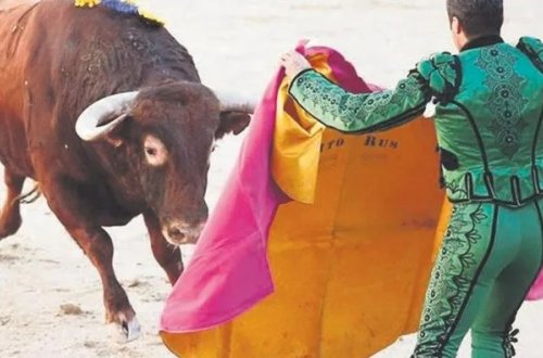 İspaniya Milli Korrida Mükafatını qaldırdı