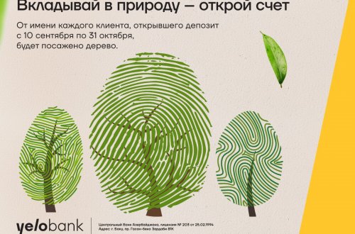 Вклад в Yelo Bank — вклад в зелёный Баку