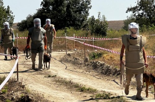 Horadiz kəndinin 80 faizi minalardan təmizlənib - FOTO