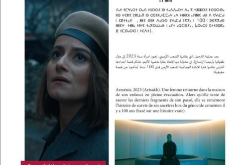 Beynəlxalq film festivalında erməni təxribatının qarşısı alındı - FOTO