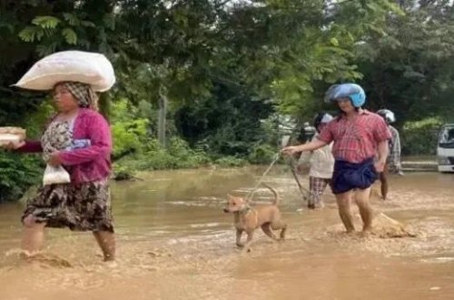 Filippində tropik siklonlar və musson yağışları səbəbindən 6 nəfər ölüb