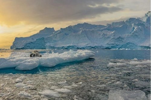 Antarktidada kəşf edilmiş Mars qayası EXPO 2025 sərgisində nümayiş etdiriləcək