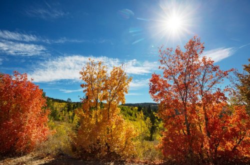 Payız fəsli Azərbaycana sentyabrın 22-si daxil olacaq