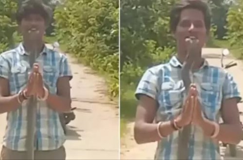 Hindistanda gənc oğlanı ağzından ilan sancıb