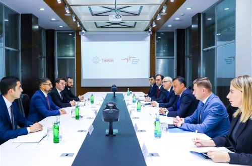 Обсуждено развитие сотрудничества между Фондом Возрождения Карабаха и TƏBİB - ФОТО