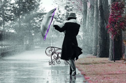 Yağış yağacaq, temperatur 14 dərəcəyə düşəcək