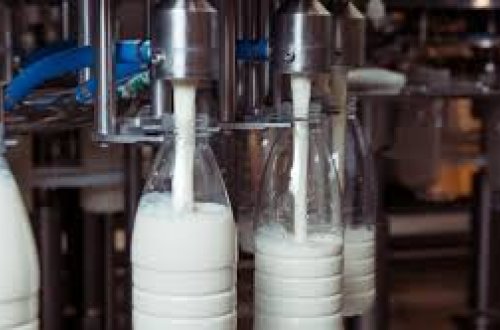 Rusiya Azərbaycanda istehsal olunan süd məhsullarının idxalına qadağa qoyub