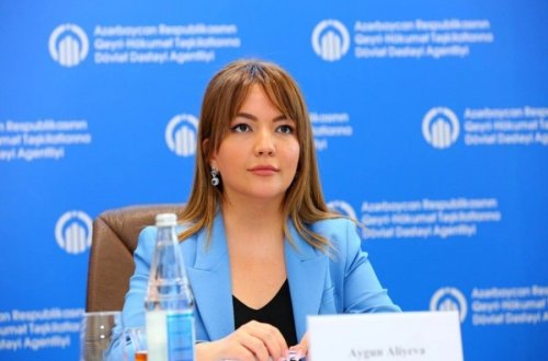 Aygün Əliyeva: Agentlik 1 806 layihəyə maliyyə dəstəyi göstərib