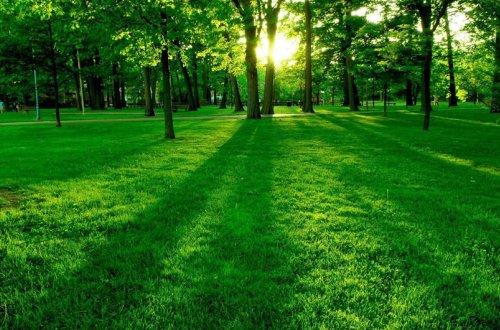 Bakıda 26 dərəcə isti olacaq, rayonlara yağış, qar yağacaq - PROQNOZ