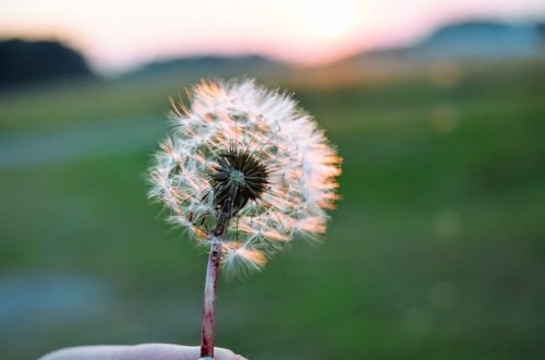 Sentyabrda havanın temperaturu əksər günlərdə iqlim normasından yüksək olub