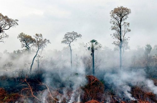 Boliviyada yanğınlar 10 milyon hektardan çox bitki örtüyünü məhv edib