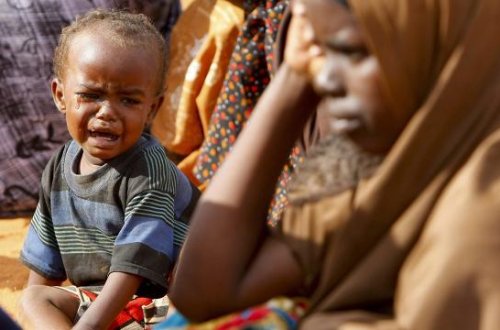 Afrikanın cənubundakı şiddətli quraqlıq səbəbindən 15 milyon insan ərzağa möhtacdır