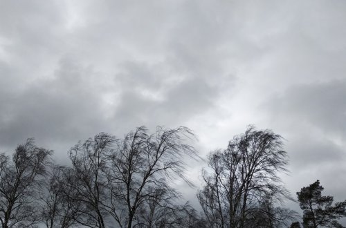 Bölgələrdə küləkli hava şəraiti ilə bağlı sarı və narıncı xəbərdarlıq verilib