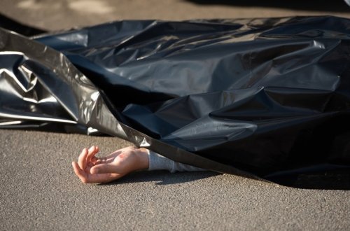 Qəbələdə faciə - Bağda meyvə yığan zaman öldü