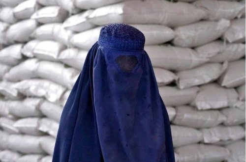 Talibandan yeni qadağa: Canlıların şəkilləri dərc olunmayacaq