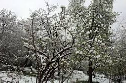 Naxçıvanın dağ kəndlərinə ilk qar yağıb