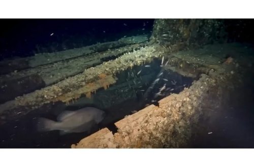 İkinci Dünya Müharibəsi sualtı qayığı 81 ildən sonra tapıldı