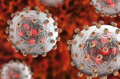 Nigeriyada Lassa qızdırmasından 21 nəfər ölüb