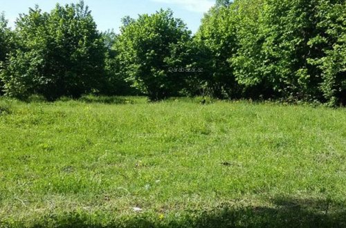 Astarada meyvə bağına görə oğlunu öldürən ata həbs edildi - YENİLƏNİB