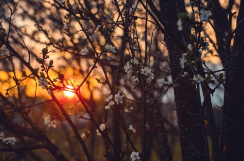 2025-ci ildə fəsillərin Azərbaycana daxilolma vaxtları açıqlanıb