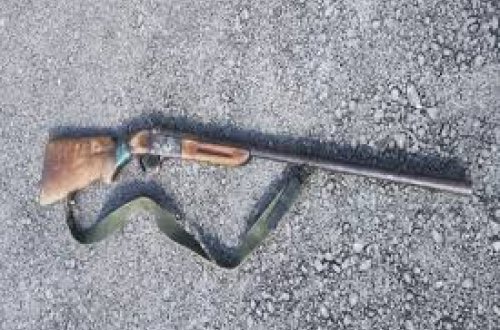 Şəkidə qanunsuz ov edən şəxslər saxlanılıblar