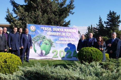 Nəsimi rayonunda “Yaşıl dünya naminə həmrəylik ili” çərçivəsində ağacəkmə aksiyası davam edir.