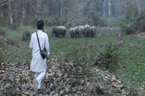 Fil ilə şəkil çəkdirmək istəyirdi - həyatından oldu