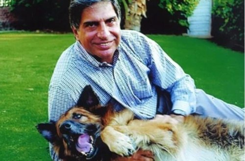 Milyarder iş adamı mirasını itinə qoyub