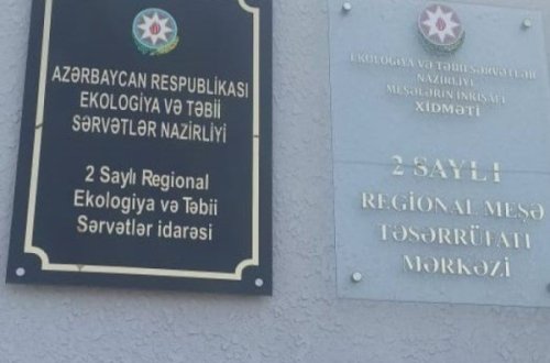 Tovuza COP29 YETİŞMƏYİB: Yanıqlı meşəsinin ÜRƏKYANDIRAN HALI... - FOTO, VİDEO