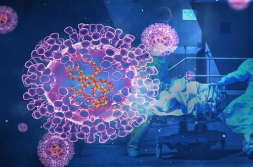 Ölümcül meymun çiçəyi ştammı Clade 1b Böyük Britaniyaya çatır