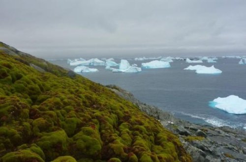 Çin 41-ci Antarktika tədqiqat ekspedisiyasına başlayır