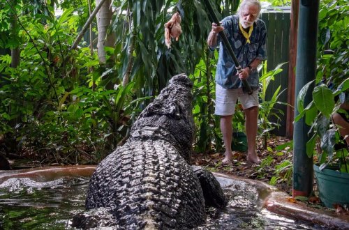 Dünyanın ən böyük timsahı ölüb
