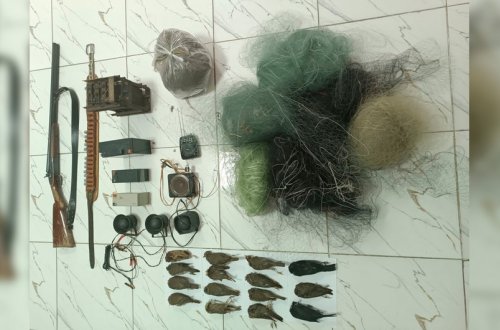 Astarada qanunsuz ov edənlər barədə tədbir görülüb